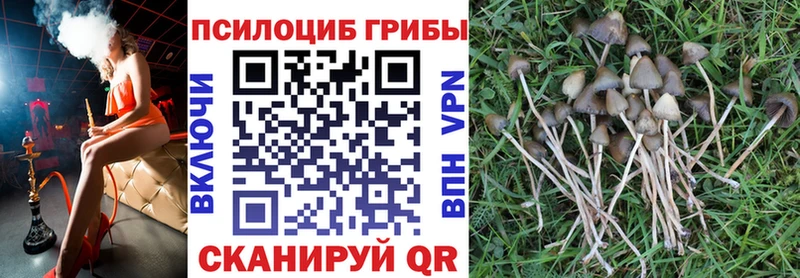 Галлюциногенные грибы мухоморы  Бикин 