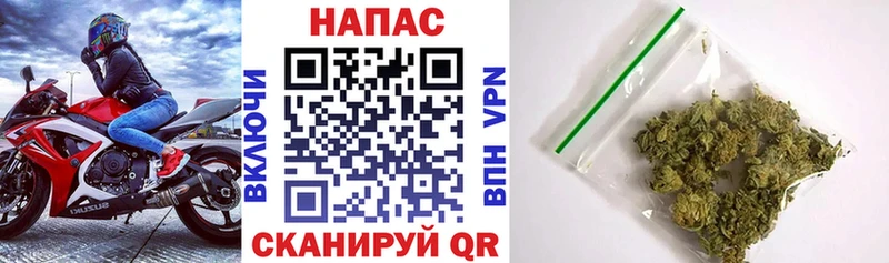 Бошки марихуана SATIVA & INDICA  где купить   Бикин 
